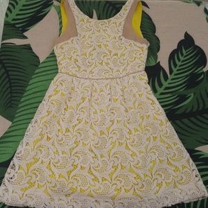 Greylin embroidery yellow dress